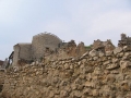 Ruinele Cetatetii