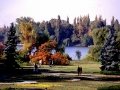 Vara in Parcul Herastrau
